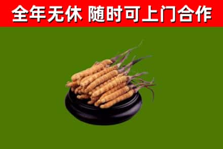 通辽回收冬虫夏草